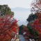 矢田寺の紅葉