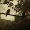 Two Crows