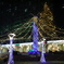 クリスマスイルミネーションin洋光台