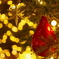 クリスマスツリー１