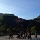 お伊勢参り