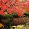近くの公園