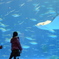 鹿児島水族館