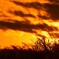 初冬の夕暮れ