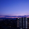 DSC00654