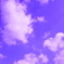 DSC00647