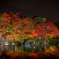 紅葉隠れ