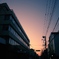 朝