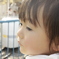 井の頭公園
