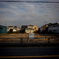 camucamu_20141210_04