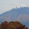 頂