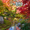京都嵐山散策、宝厳院その十