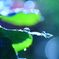 Art of rain Pt5