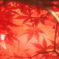 秋色・第四章