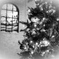 Xmas Tree