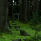 苔生す神社