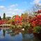 京都・永観堂