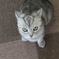 じーっ