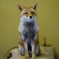 ３分間写真