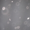 雪のリング