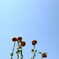 060809