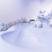 クリームみたいな雪