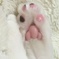 肉球