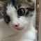 うーん。。。