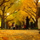 yellow carpet