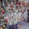 Christmas window