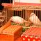 文鳥占い