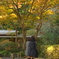 名残紅葉逍遥Ⅱ（瑞泉寺）