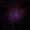 NGC2264
