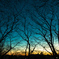 Waiting For Dawn