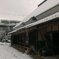 爆弾低気圧で杜もすっかり雪景色３(^O^)