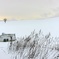 White season 15