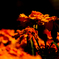 DSC02201