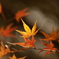 春・夏・冬