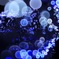 光の海Ⅱ