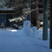 Snowmans