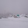 雪のなか