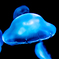 jerry fish