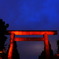 靖国神社　大鳥居
