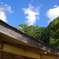 IMGP0011