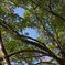 IMGP0018