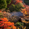 紅葉に囲まれて