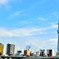 川沿いから見たスカイツリー