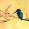 鳥納め翡翠2