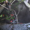 温泉水で生きる