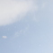 元旦の雪